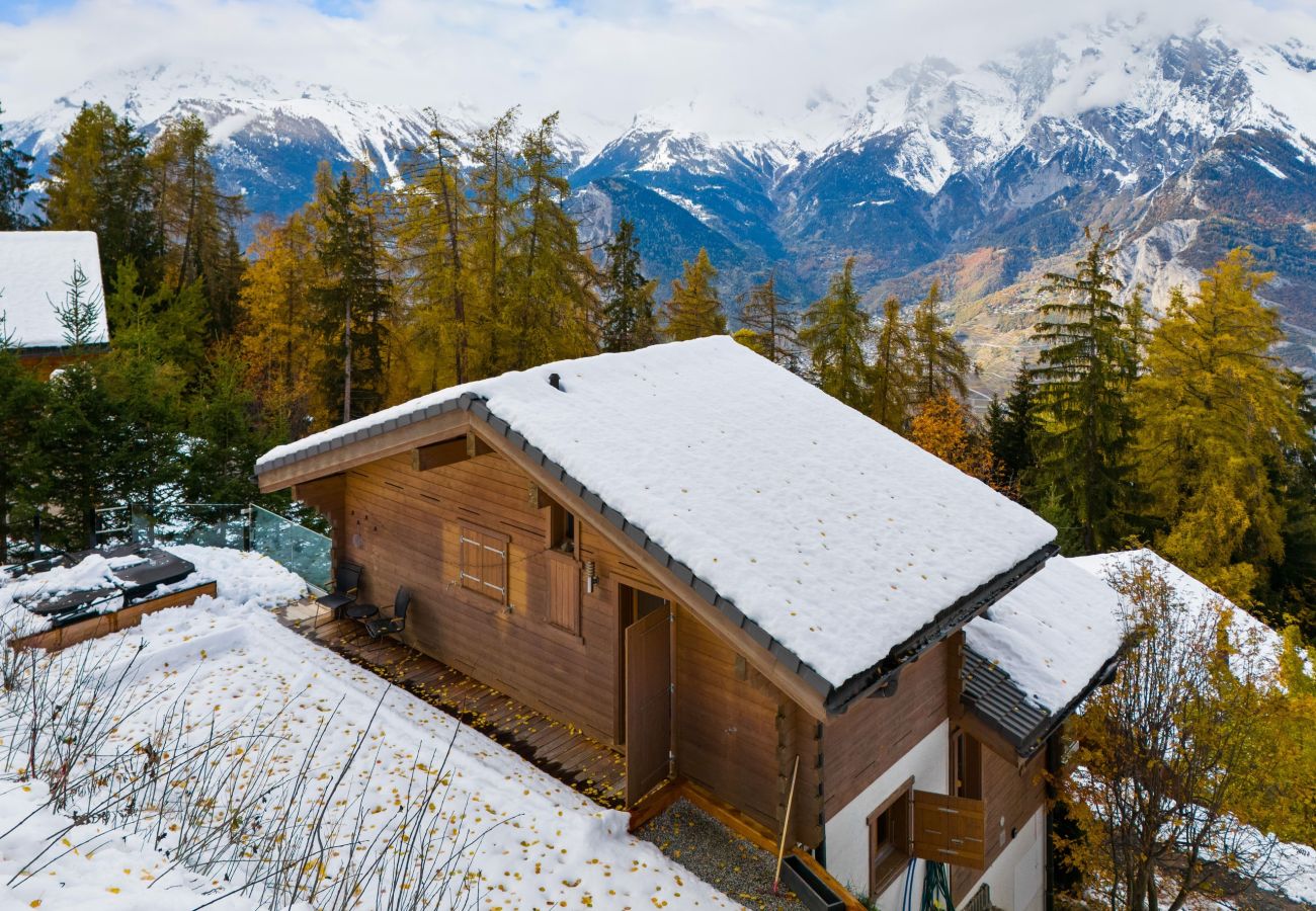 Chalet in Haute-Nendaz - Marella - 8 pers - jacuzzi