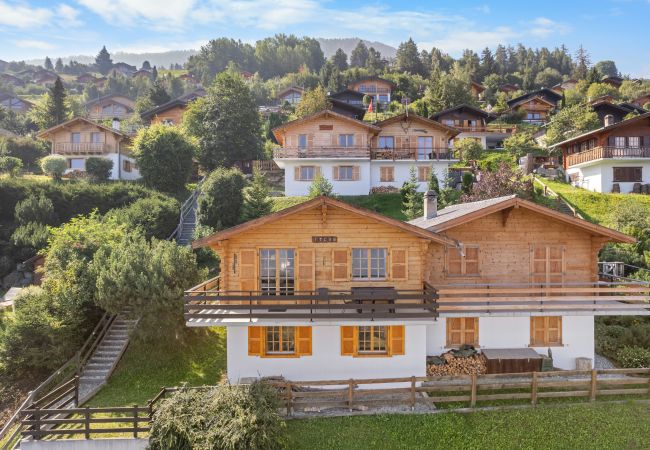 freistehendes Haus in Haute-Nendaz - Freya - 6 pers - au calme - jolie vue