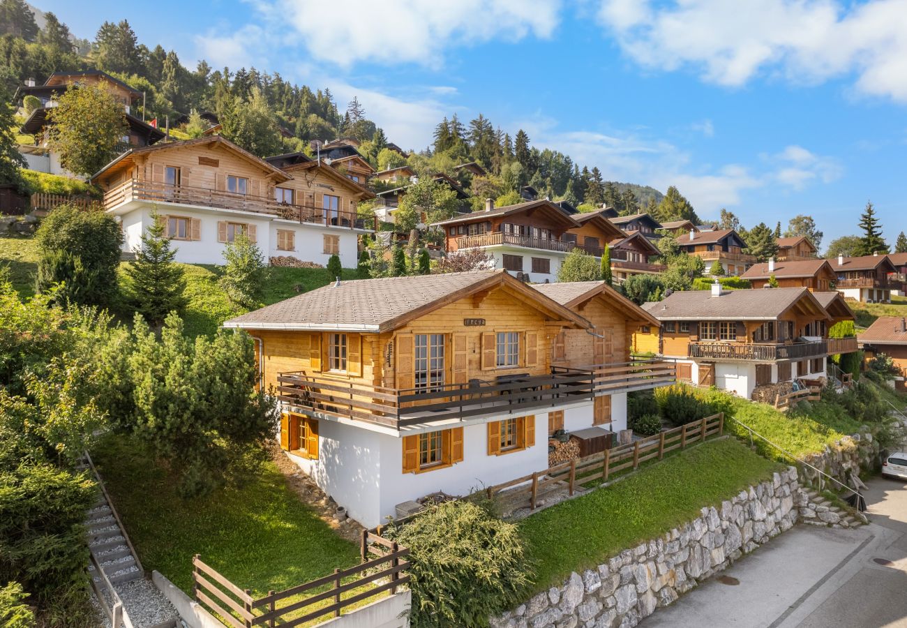 Chalet in Haute-Nendaz - Freya - au calme - jolie vue