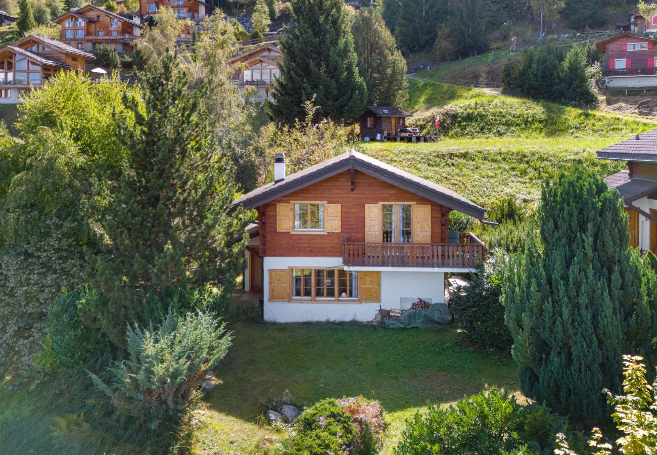 Chalet in Haute-Nendaz - Stugan - 6 pers - centre station