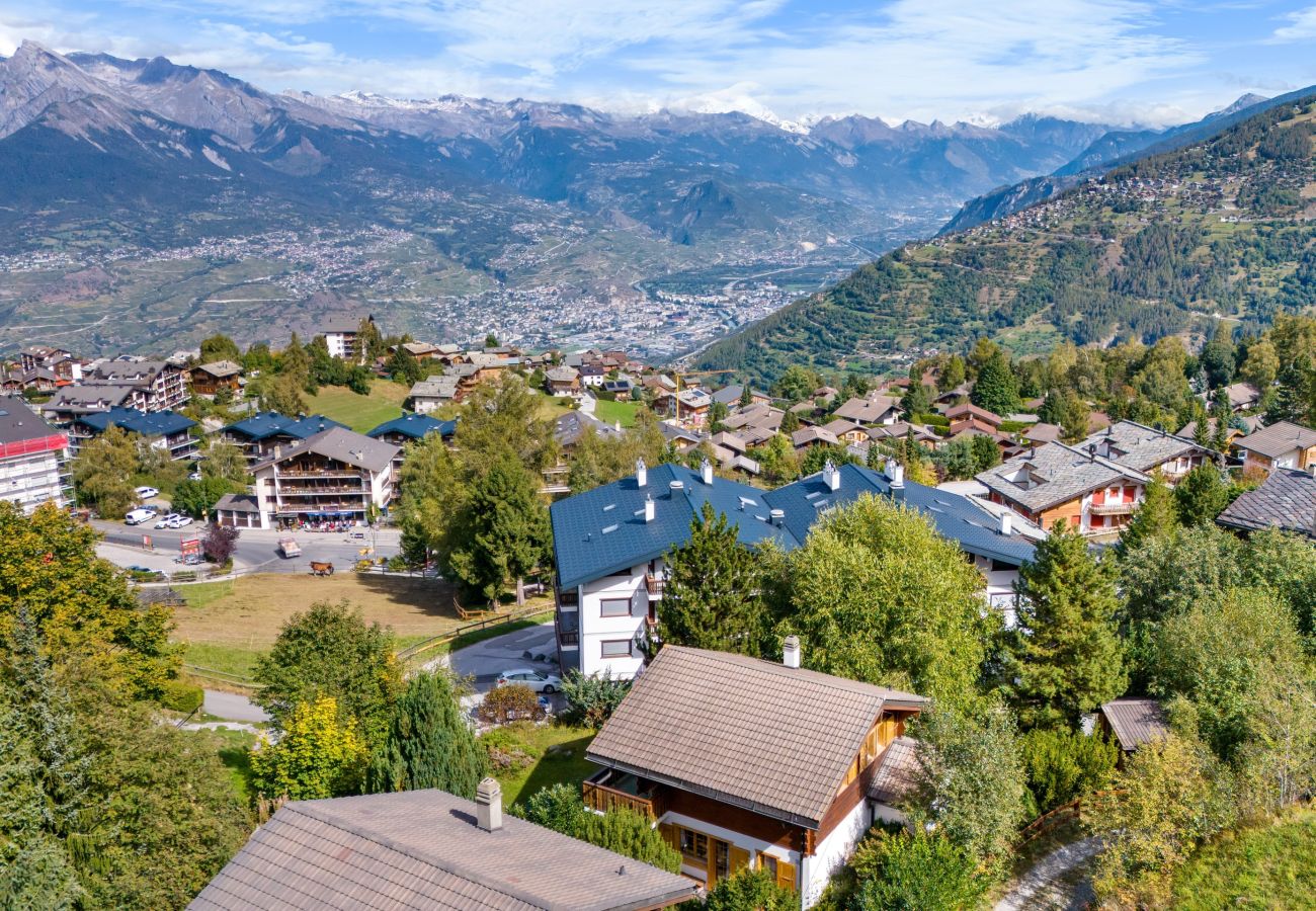 Chalet in Haute-Nendaz - Stugan - 6 pers - centre station