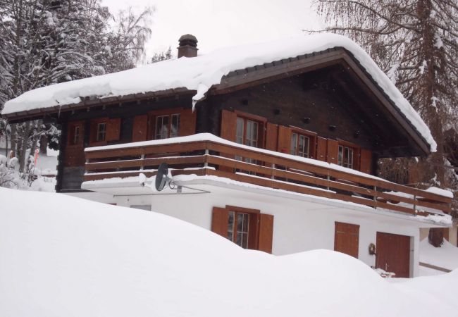 freistehendes Haus in Haute-Nendaz - Eole - 6 pers - près des pistes