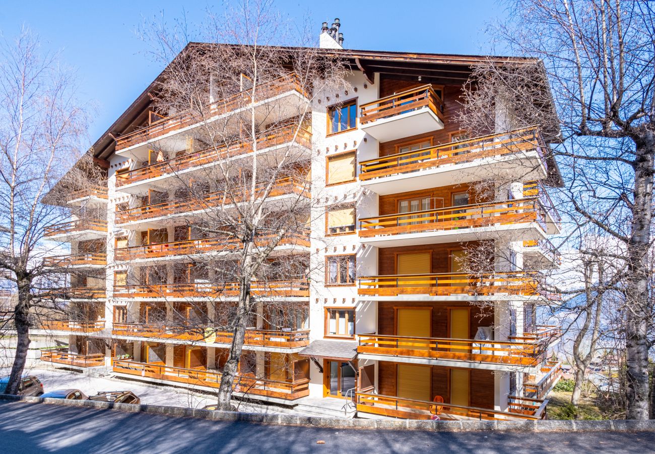 Apartment in Haute-Nendaz - Derborence 14
