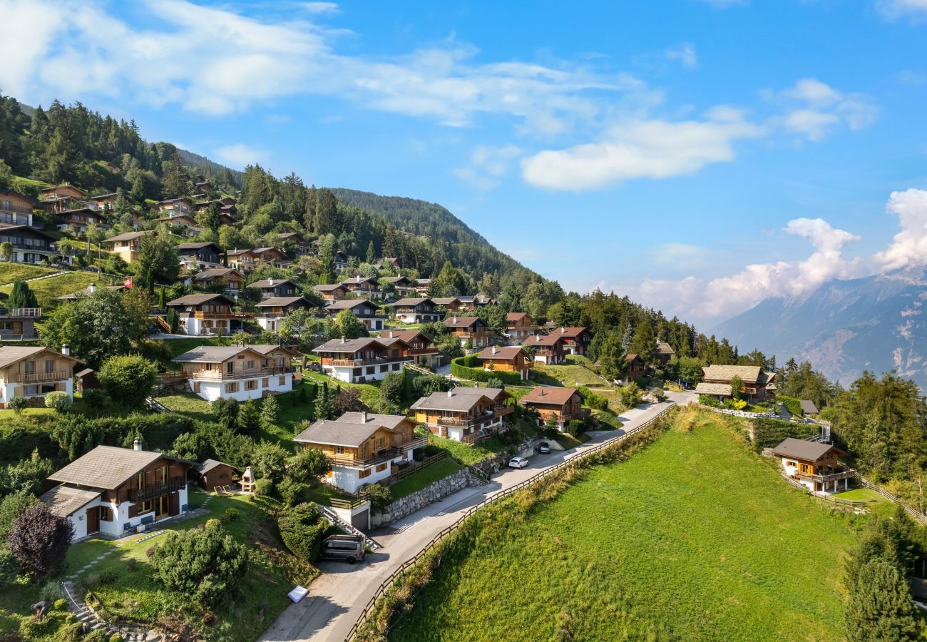 Chalet in Haute-Nendaz - Freya - au calme - jolie vue