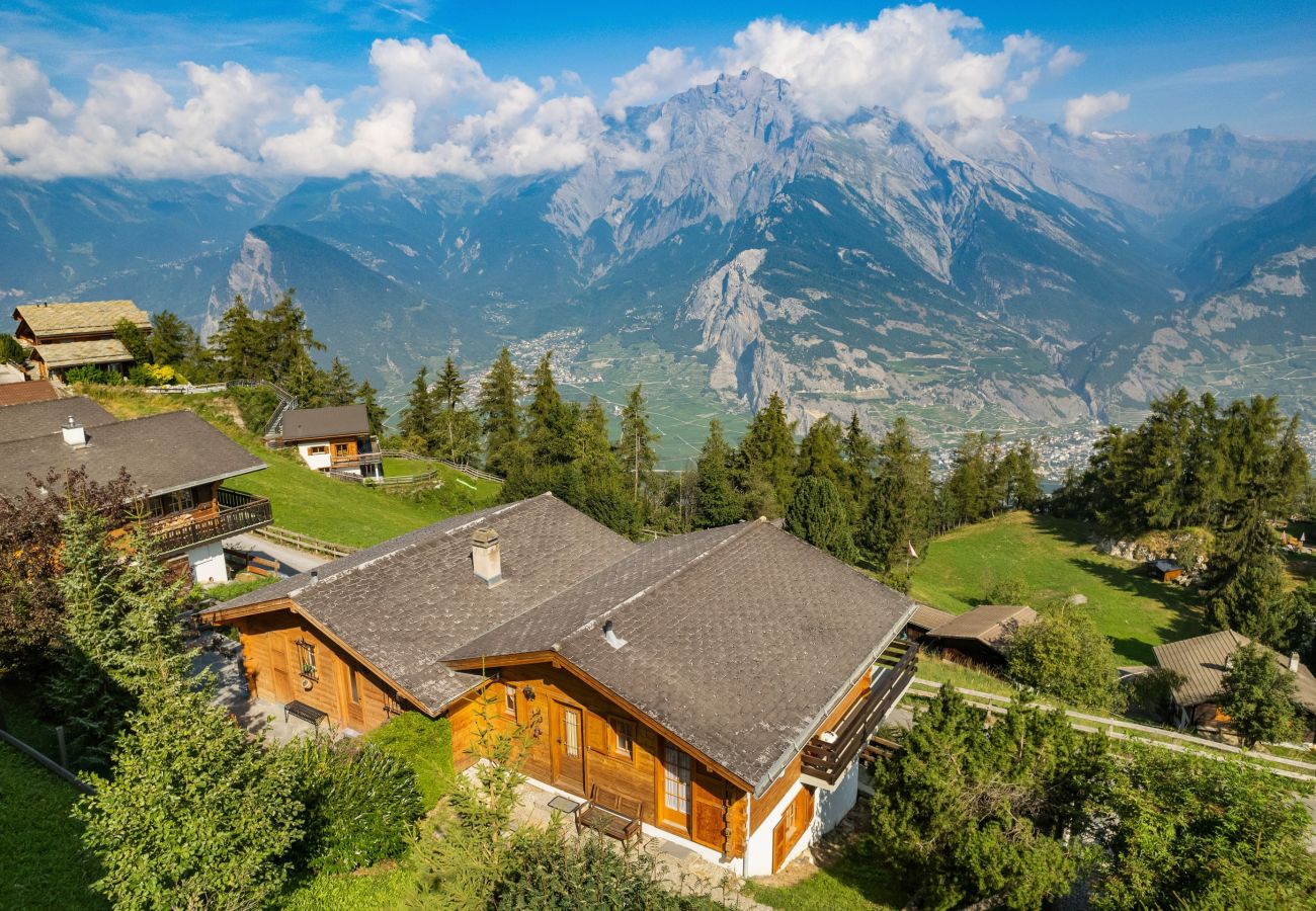 Chalet in Haute-Nendaz - Freya - 6 pers - au calme - jolie vue