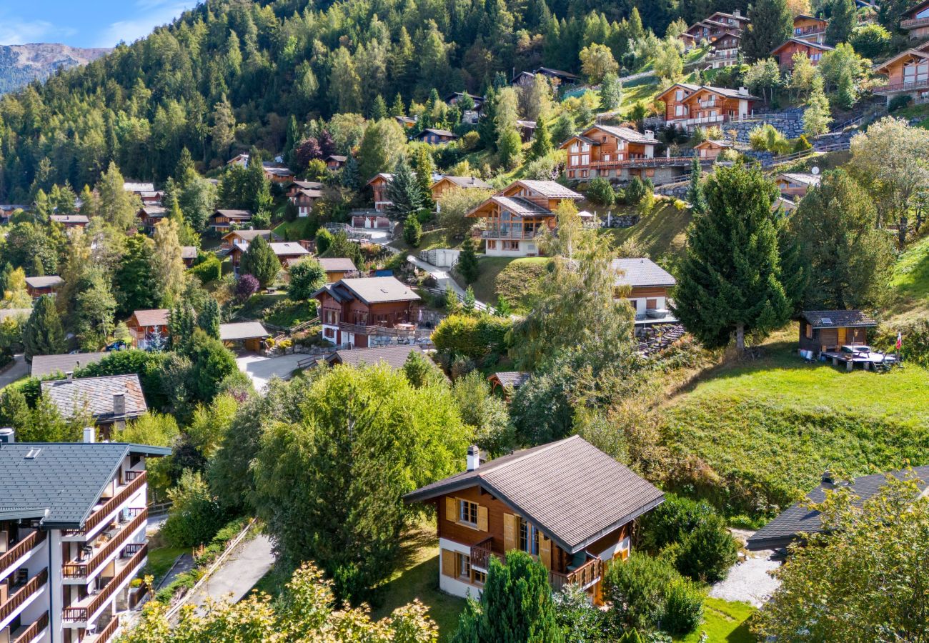 Chalet in Haute-Nendaz - Stugan - 6 pers - centre station