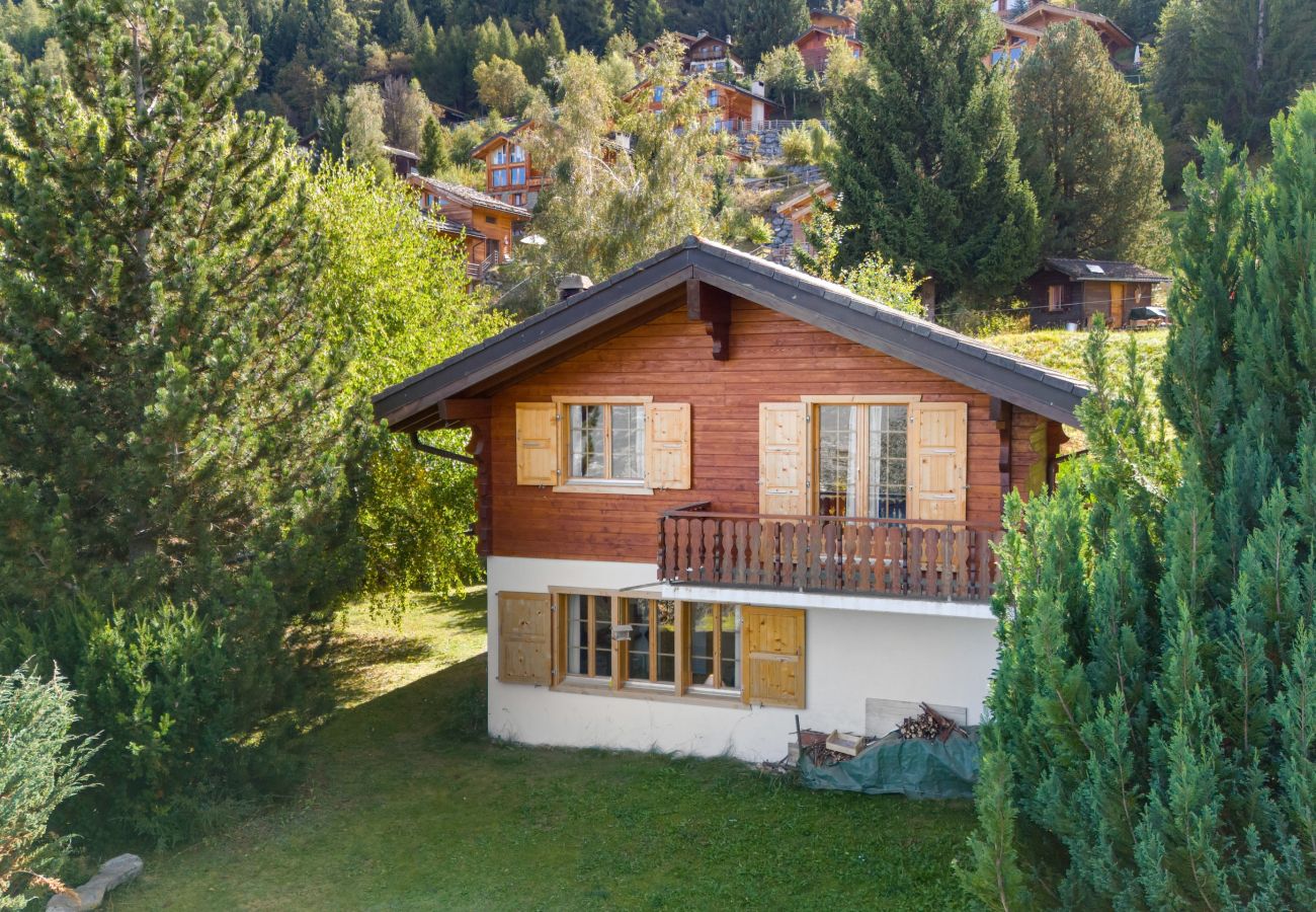 Chalet in Haute-Nendaz - Stugan - 6 pers - centre station