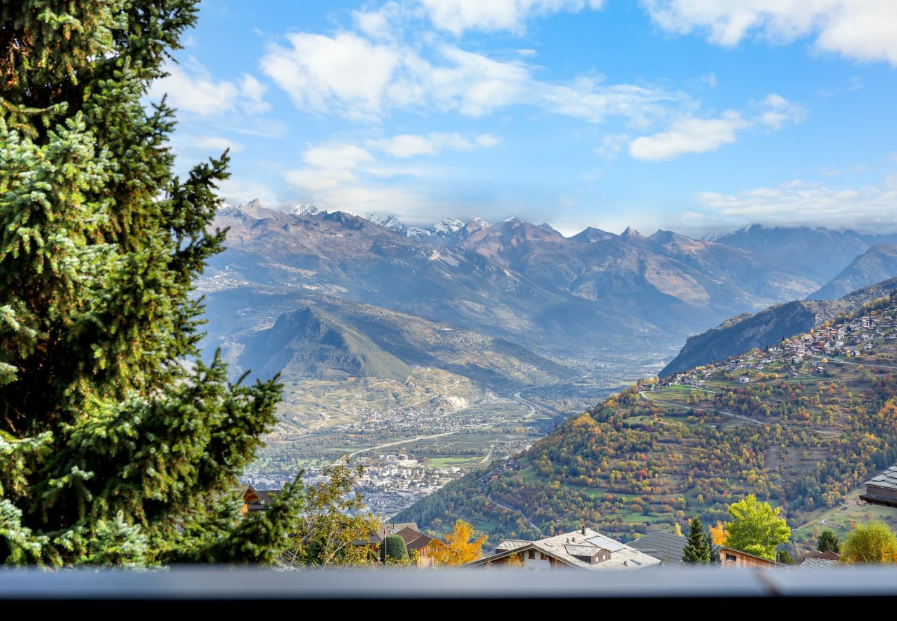 Studio in Haute-Nendaz - Violettes 07