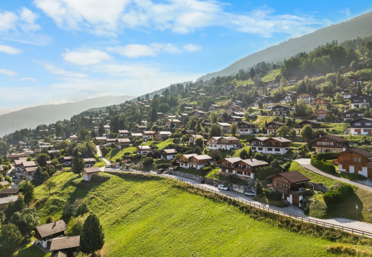 Villetta a Haute-Nendaz - Freya - au calme - jolie vue